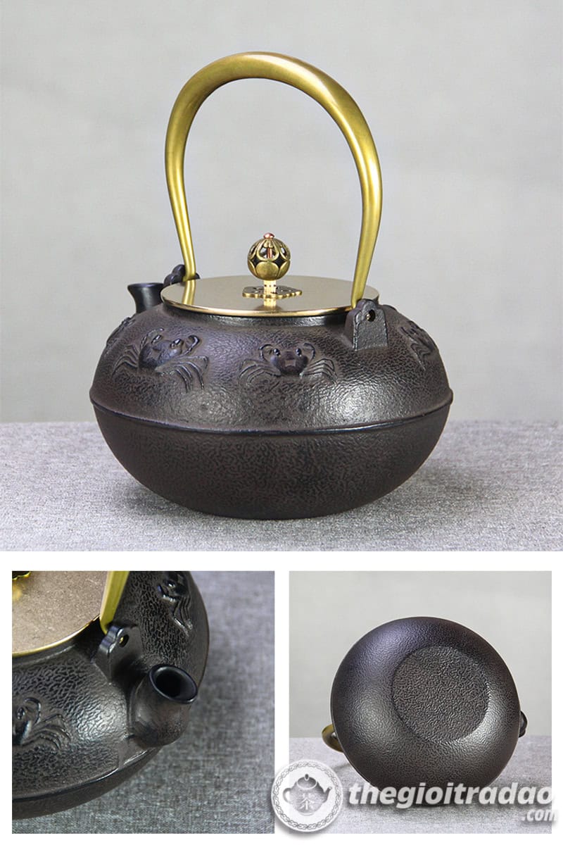 Bo bep dien am gang tetsubin quai dong dun nuoc pha tra--7