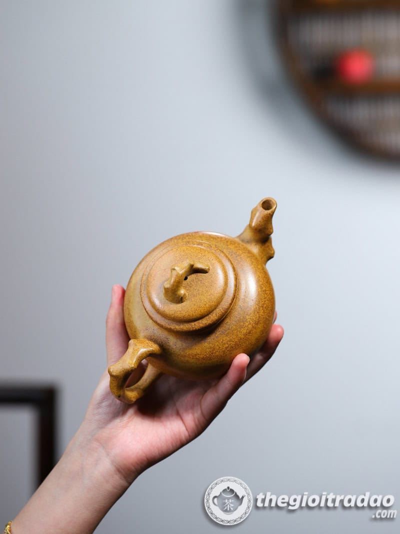 am tu sa bao xuan doan ne nung cui 370ml--15