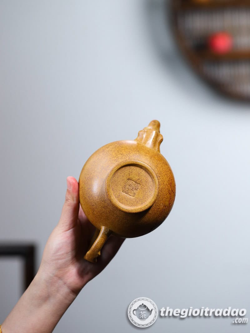 am tu sa bao xuan doan ne nung cui 370ml--17