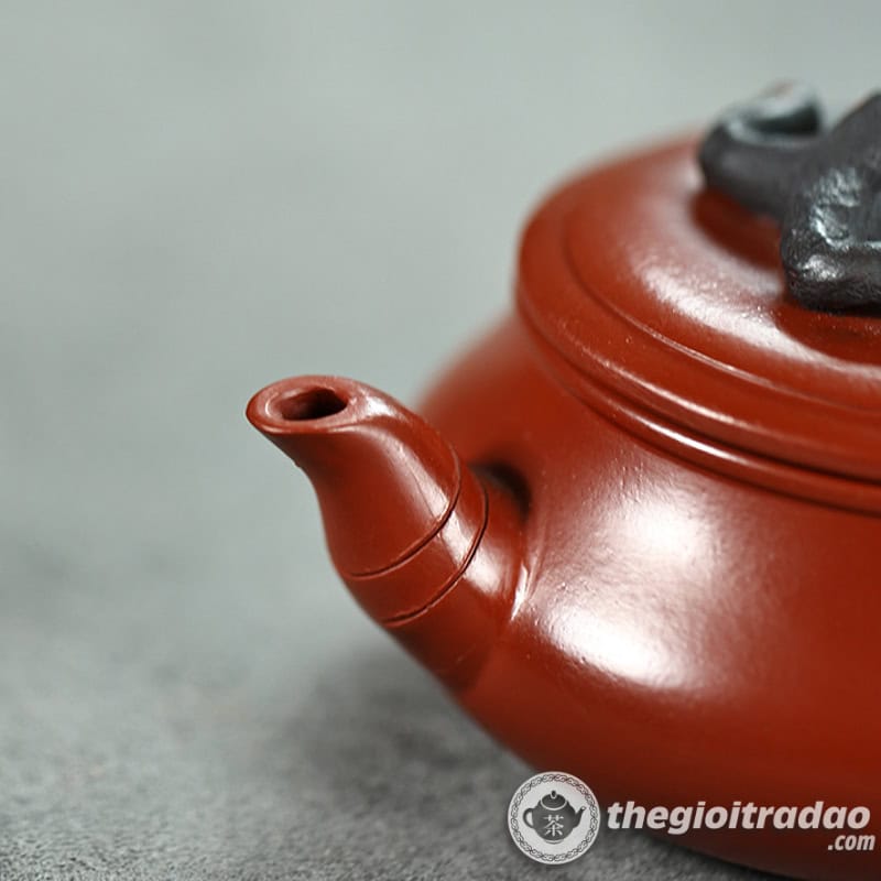 am tu sa tung mai bien co dai hong bao 300ml--16