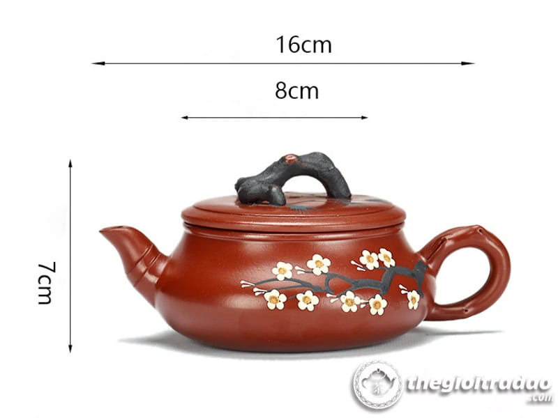 am tu sa tung mai bien co dai hong bao 300ml--6