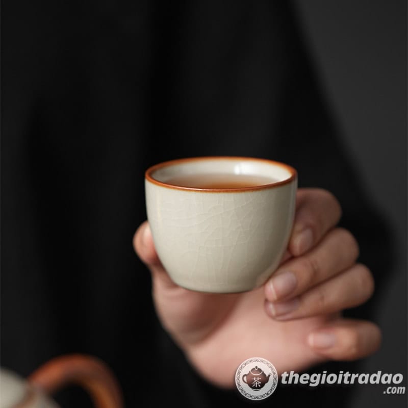 bo am tra du lịch kem khay tra tui xach cao cap2024--13