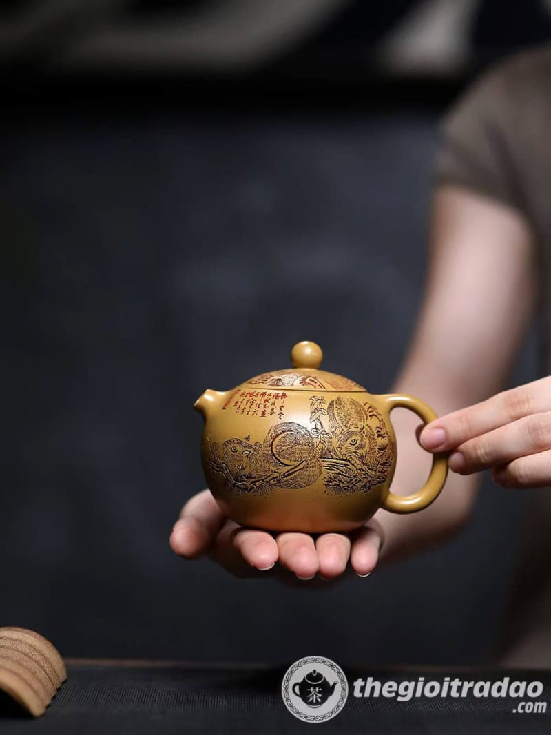 am tu sa tay thi hoang kim doan ne 200ml2024--10