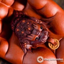 Tượng Kim Thiềm Phật Thủ Gốm Tử Sa Trang Trí Bàn Trà 8 Tuong kim thiem phat thu gom tu sa trang tri ban tra-6