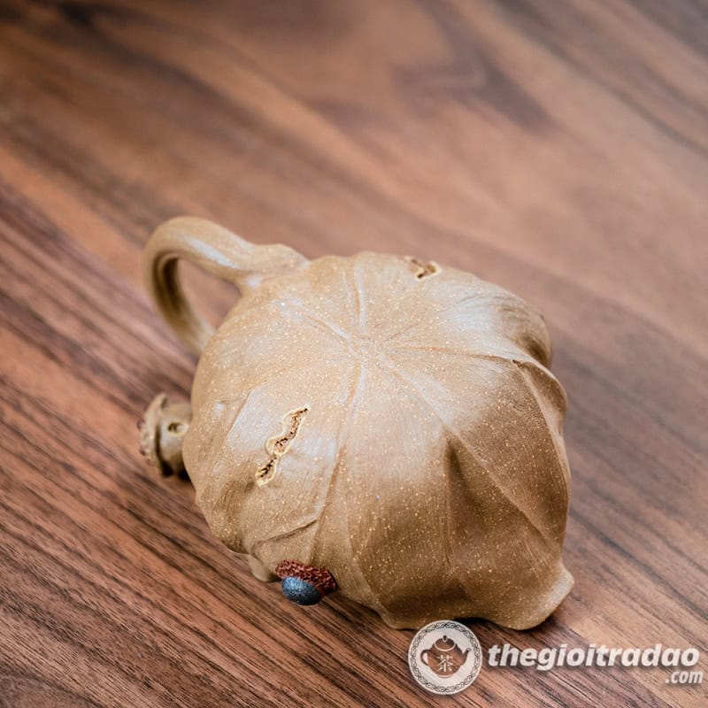 tong tra tu sa ha diep nguyen khoang doan ne 180ml-14