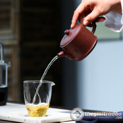 Ấm Tử Sa Trúc Đoạn Tử Nê 250ml 8 am tu sa nghi hung truc doan tu ne 250ml-3