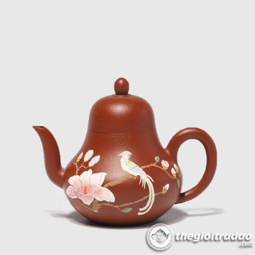 am tu sa tu dinh chim hoa my chu ne