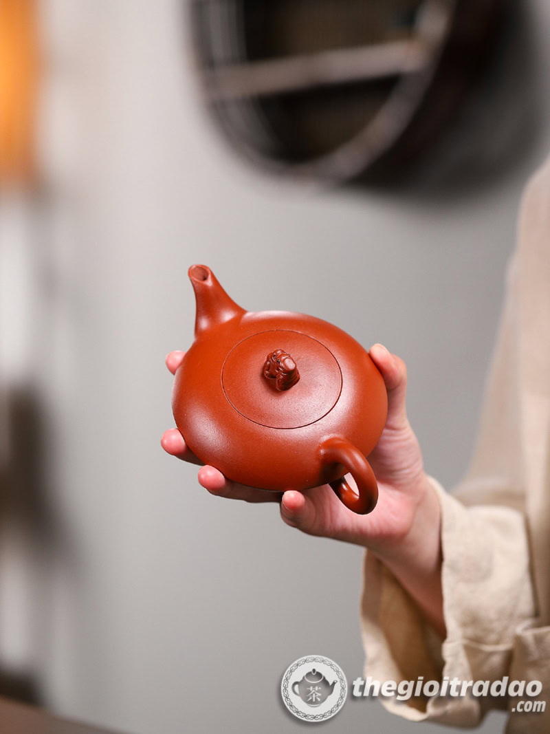 Ấm Tử Sa Quy Thú Thanh Thủy Nê 200ml 16 am tu sa quy thu thanh thuy ne 200ml--11