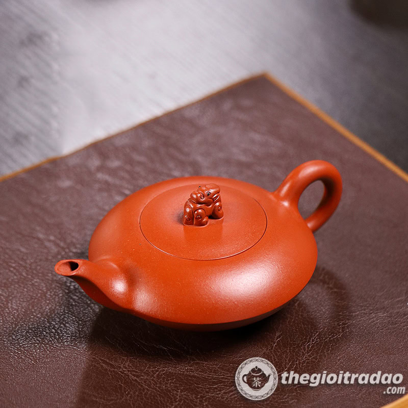 Ấm Tử Sa Quy Thú Thanh Thủy Nê 200ml 1 am tu sa quy thu thanh thuy ne 200ml--19