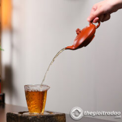 Ấm Tử Sa Quy Thú Thanh Thủy Nê 200ml 8 am tu sa quy thu thanh thuy ne 200ml--3