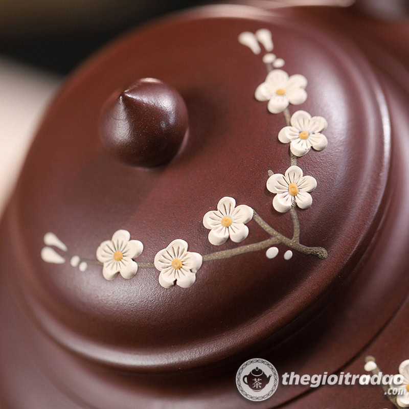 Ấm Tử Sa Tiếu Anh Mai Hoa Tử Nê 420ml 17 am tu sa tieu anh mai hoa tu ne 420ml--10