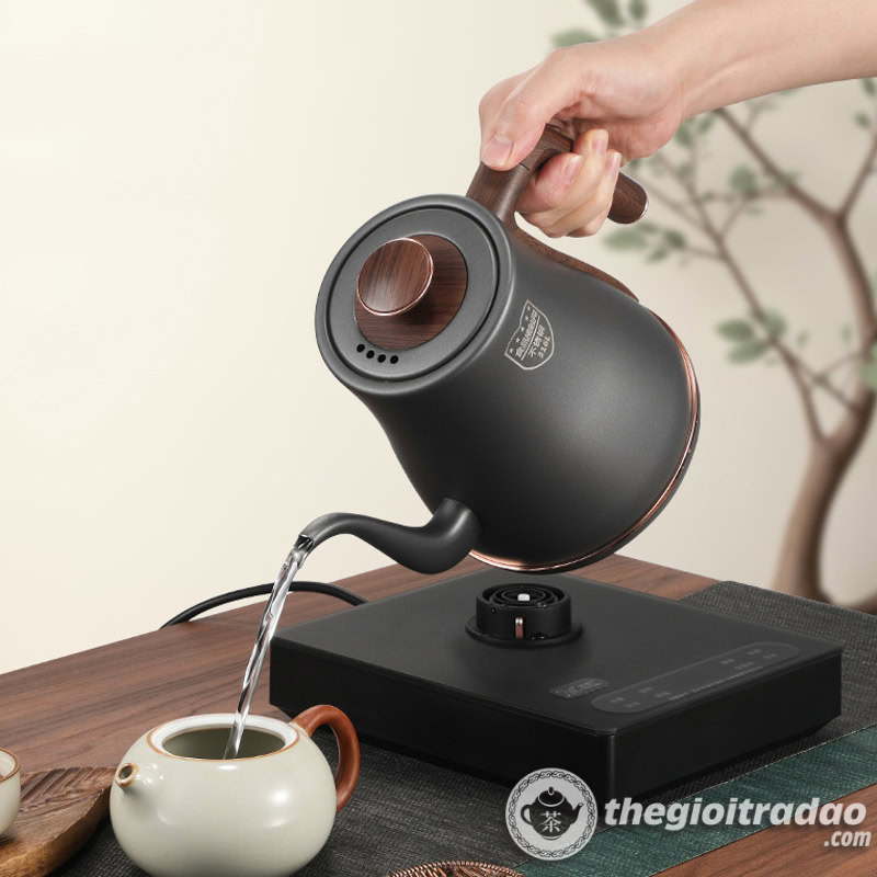 Bep dien pha tra thong minh tu dong bom nuoc, chinh nhiet do--12