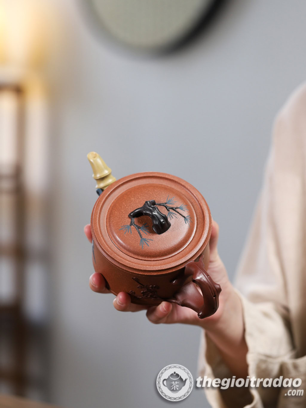 am tu sa nghi hung tam huu giang pha ne --20