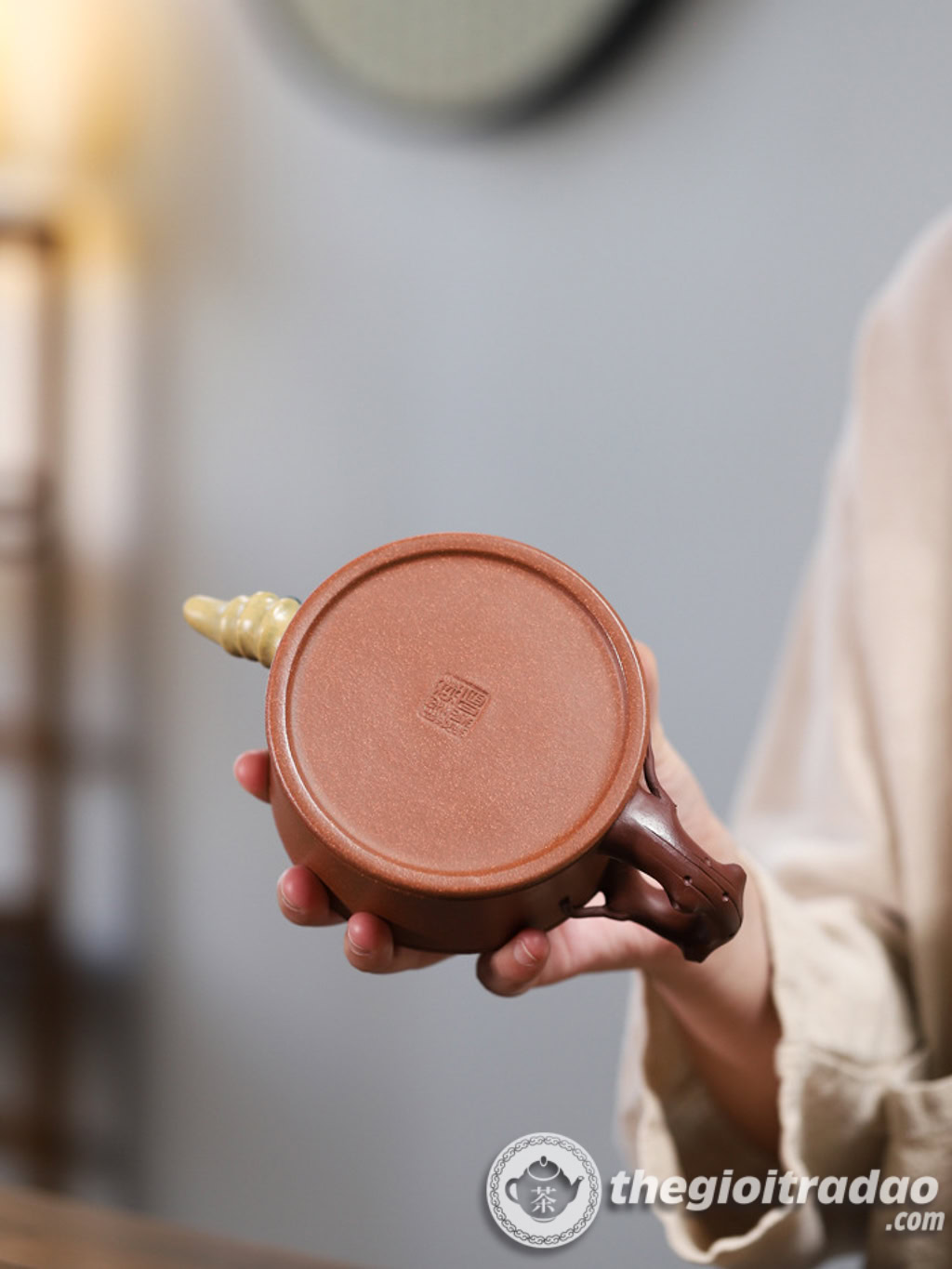 am tu sa nghi hung tam huu giang pha ne --21