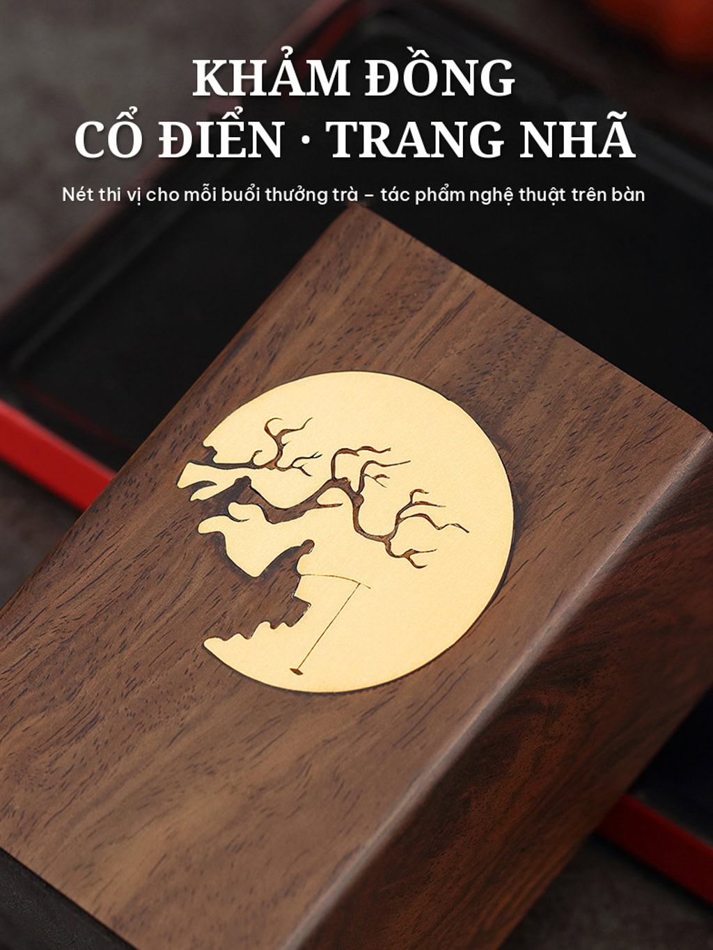Bo Dung Cu Tra Dao Kham Dong Hoa Tiet Ngu Ong – 6 Mon 06